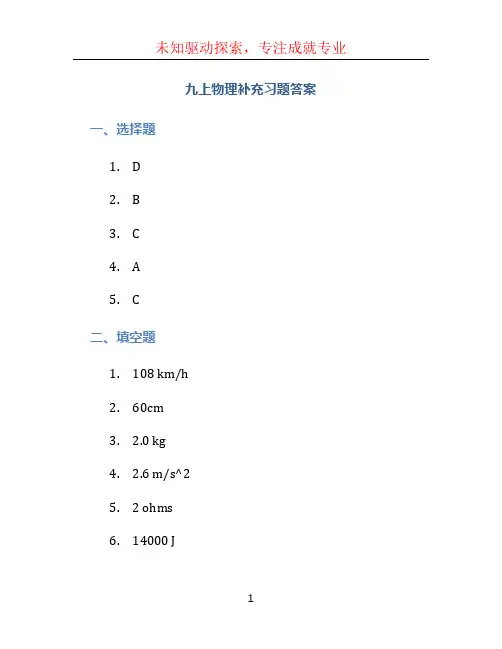 九上物理补充习题答案 (5)