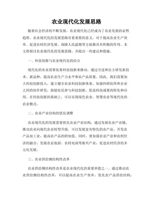 农业现代化发展思路