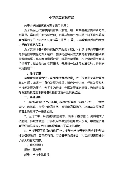 小学改革实施方案