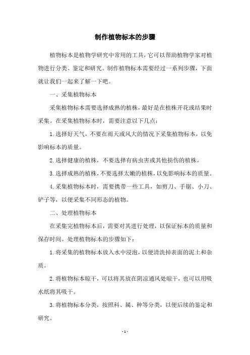 制作植物标本的步骤