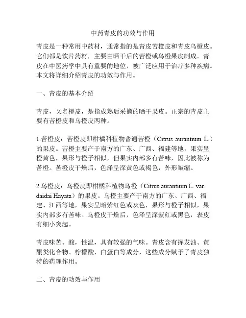 中药青皮的功效与作用