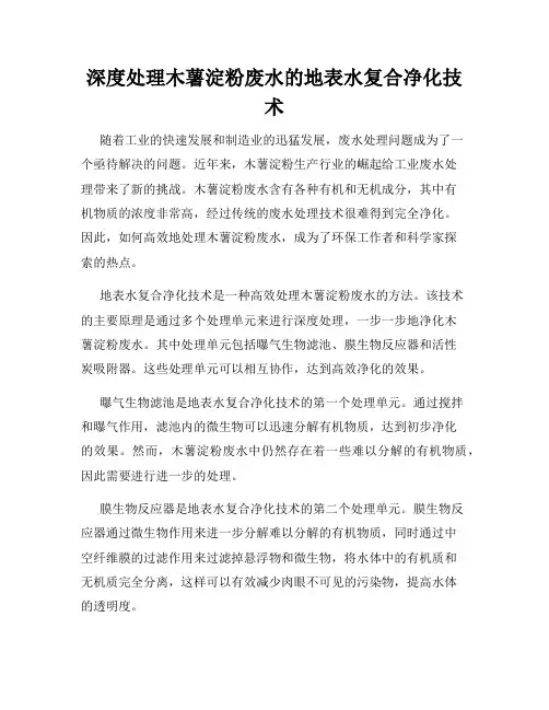深度处理木薯淀粉废水的地表水复合净化技术