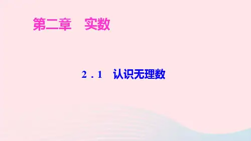 八年级数学上册第二章实数1认识无理数ppt作业课件新版北师大版
