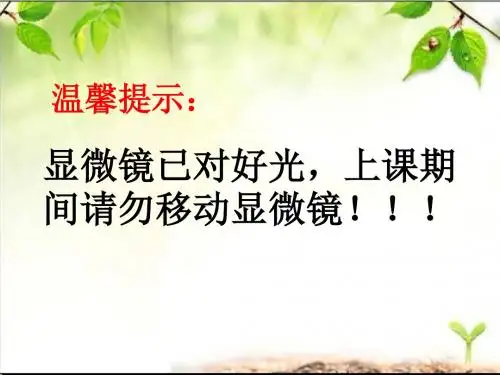 冀少儿版生物七年级上册1.2.4单细胞生物体 课件(共21张PPT)