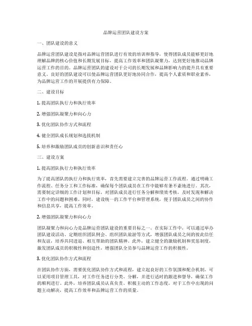 品牌运营团队建设方案