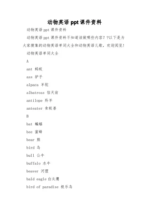 动物英语ppt课件资料