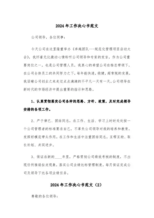 2024年工作决心书范文(6篇)