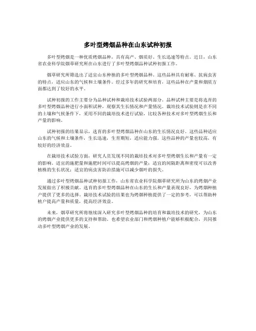 多叶型烤烟品种在山东试种初报