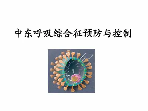 中东呼吸综合征防控模板图文课件