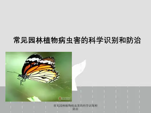 常见园林植物病虫害科学识别与防治
