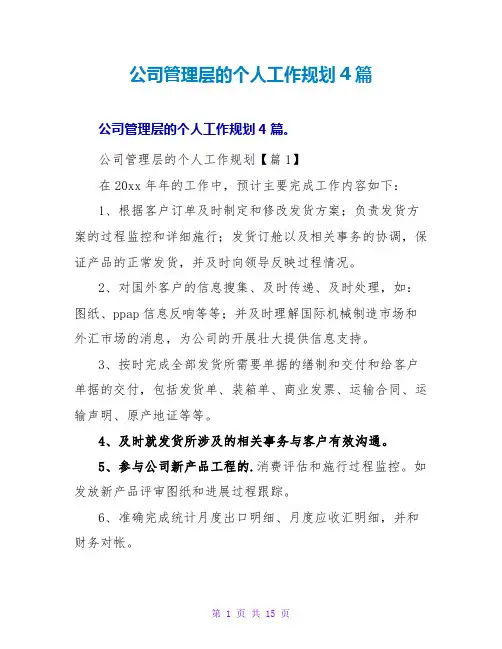 公司管理层的个人工作规划4篇