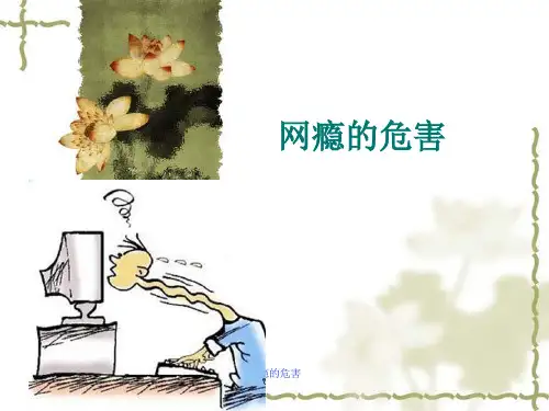 网瘾的危害 ppt课件