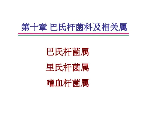 巴氏杆菌科及相关属