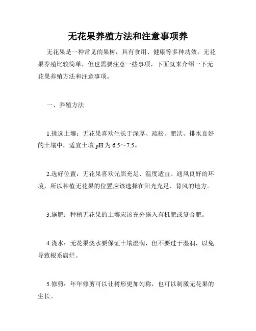 无花果养殖方法和注意事项养