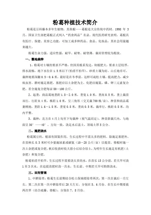 粉葛种植及管理技术