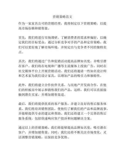 营销策略范文