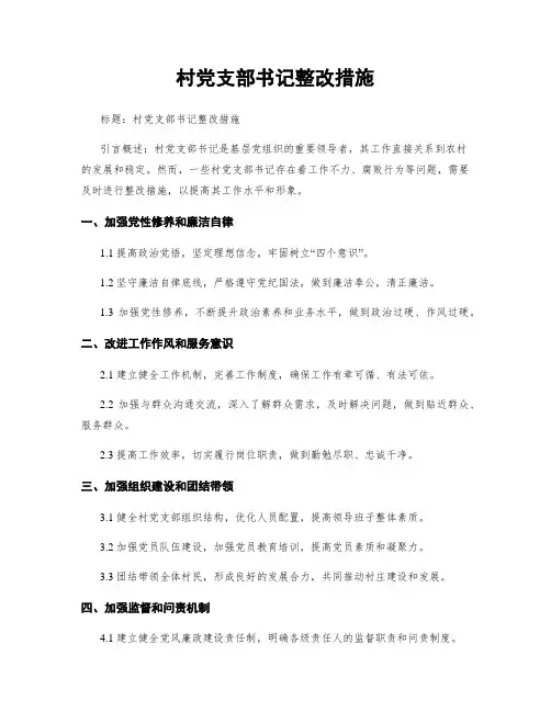 村党支部书记整改措施