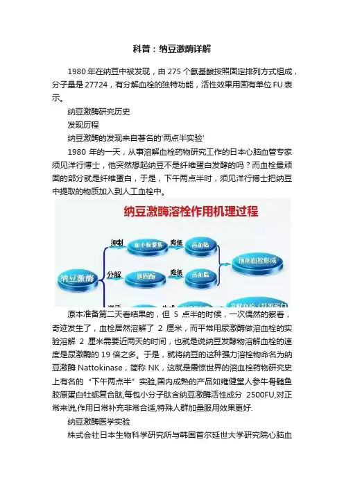 科普：纳豆激酶详解