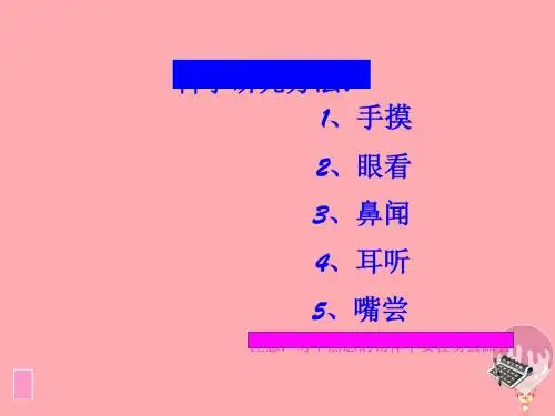 一年级科学上册第四单元第2课纸PPT课件湘科版