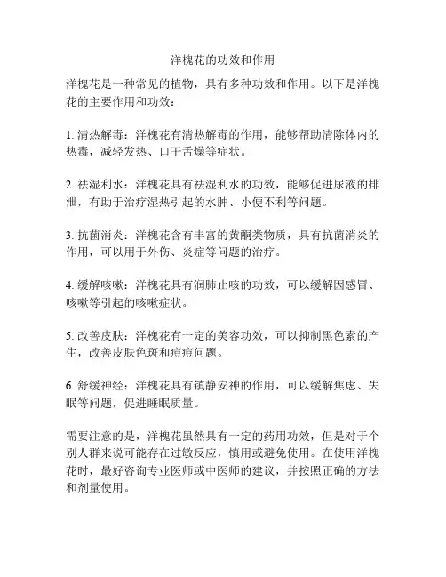 洋槐花的功效和作用