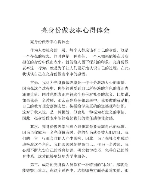 亮身份做表率心得体会