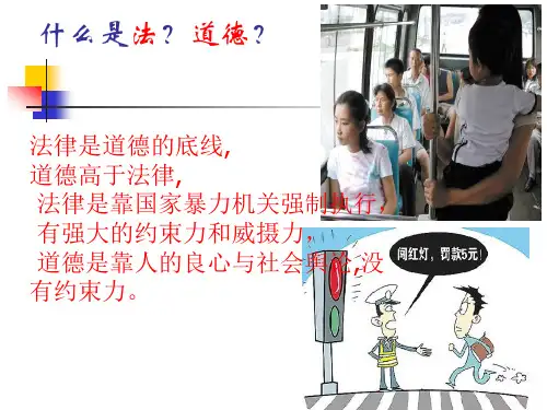 民航法律法规基本概述全