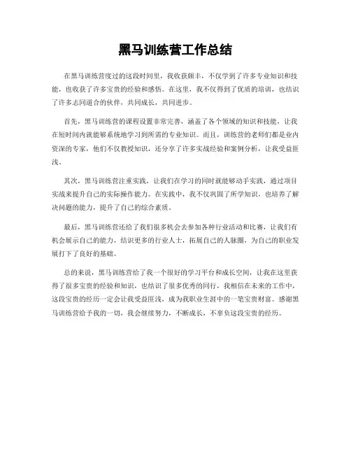 黑马训练营工作总结