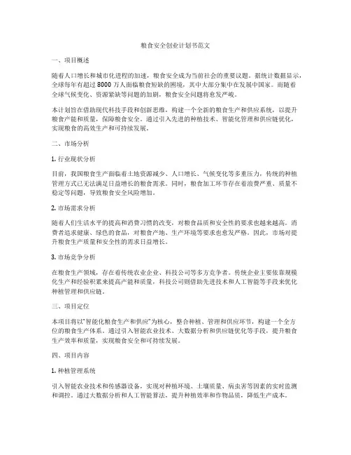 粮食安全创业计划书范文