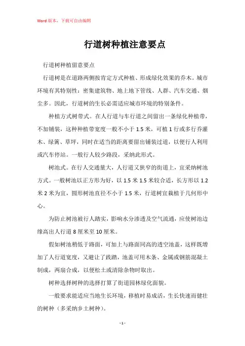 行道树种植注意要点
