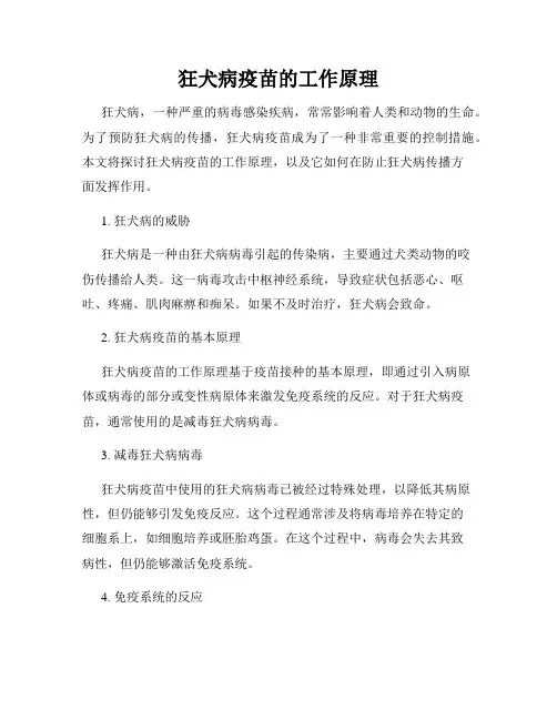 狂犬病疫苗的工作原理