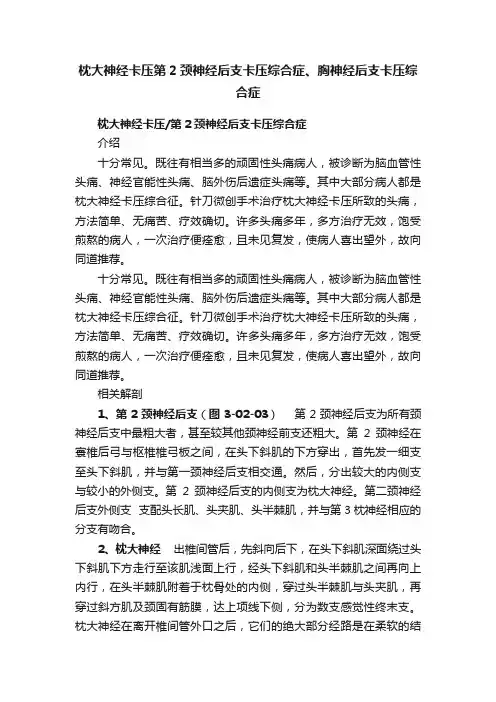 枕大神经卡压第2颈神经后支卡压综合症、胸神经后支卡压综合症
