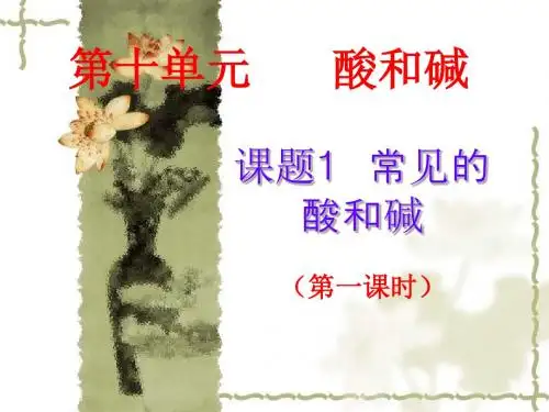 人教版九年级化学下册第十单元课题1-常见的酸和碱(共34张PPT)