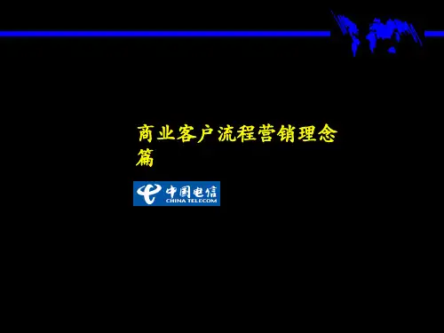 中国电信-商业客户流程营销理念(ppt 101页)