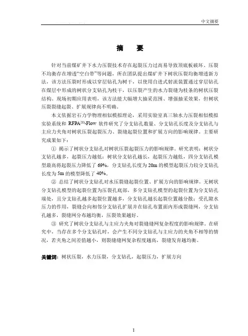 树状分支钻孔影响水压裂缝起裂扩展规律的实验研究