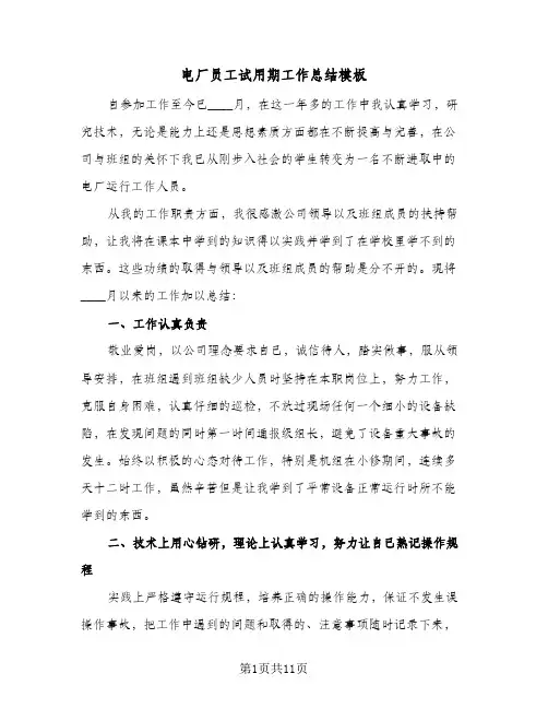 电厂员工试用期工作总结模板(5篇)