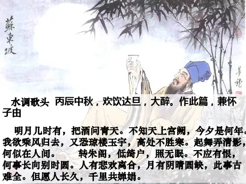 赤壁赋 高一语文必修一