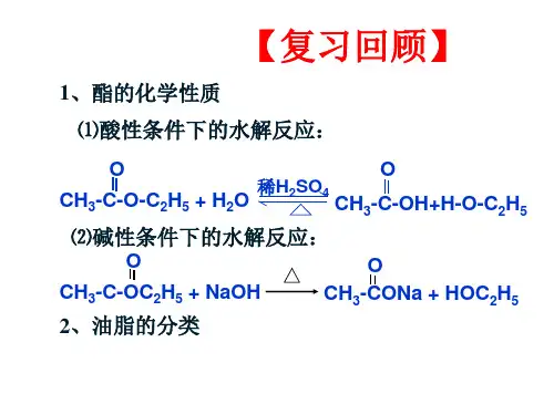 糖类和蛋白质(共34张PPT)