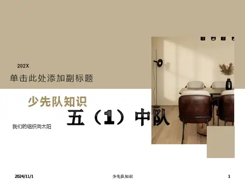 《少先队基础知识》主题中队活动班会课件PPT