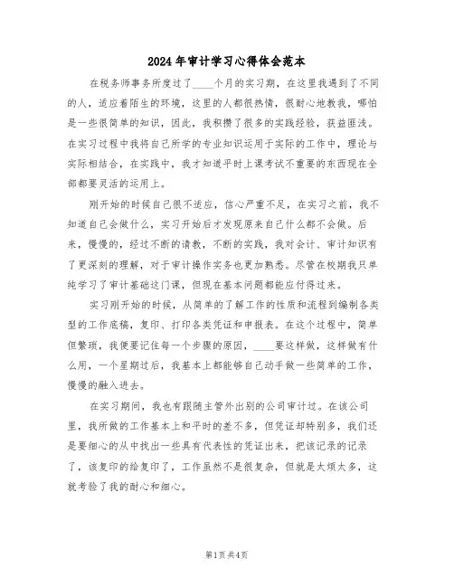 2024年审计学习心得体会范本(2篇)