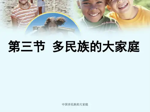 中国多民族的大家庭 ppt课件