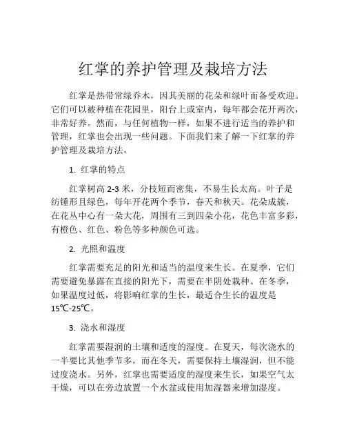 红掌的养护管理及栽培方法