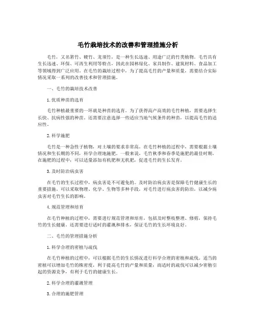 毛竹栽培技术的改善和管理措施分析