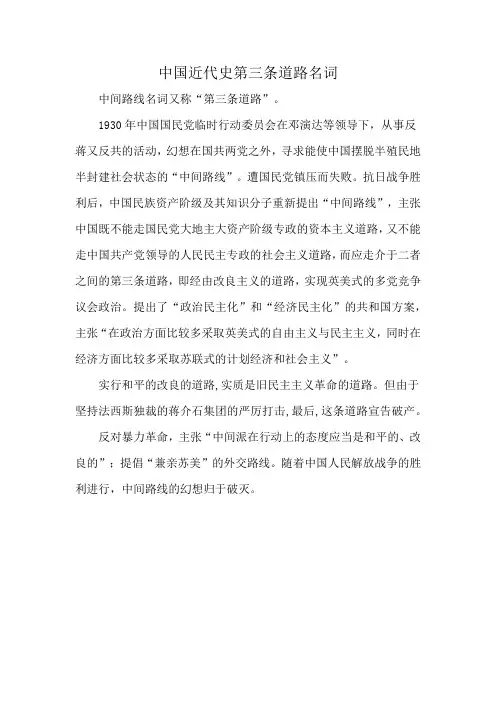 中国近代史第三条道路名词