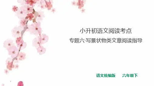 小升初语文阅读考点 专题六 写景状物类文章阅读指导 课件 人教统编版