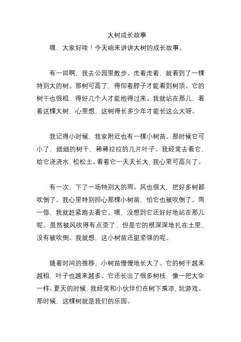 大树成长故事