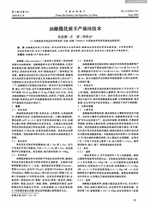 油橄榄优质丰产栽培技术
