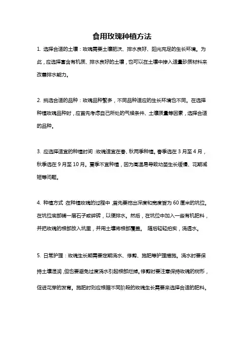 食用玫瑰种植方法