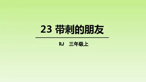 《带刺的朋友》PPT(完美)优秀课件