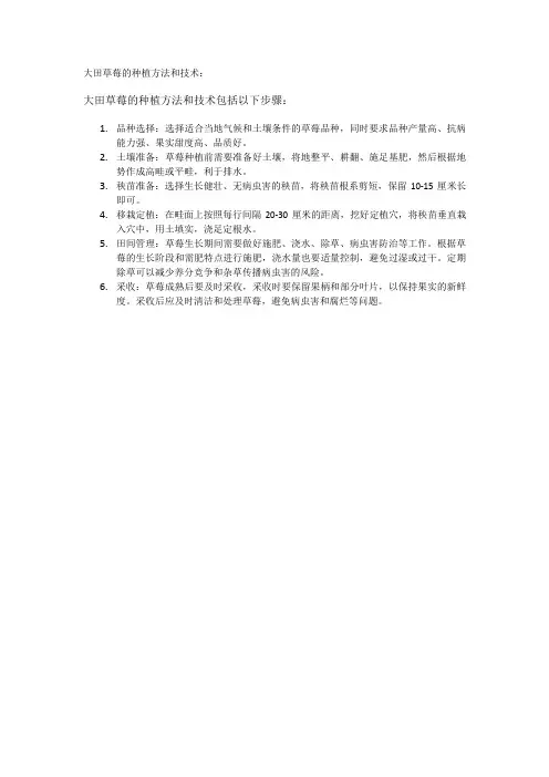 大田草莓的种植方法和技术
