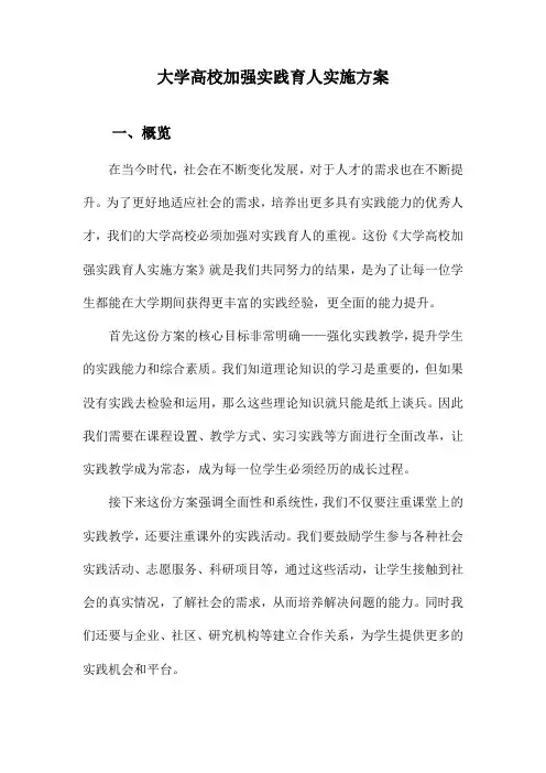 大学高校加强实践育人实施方案